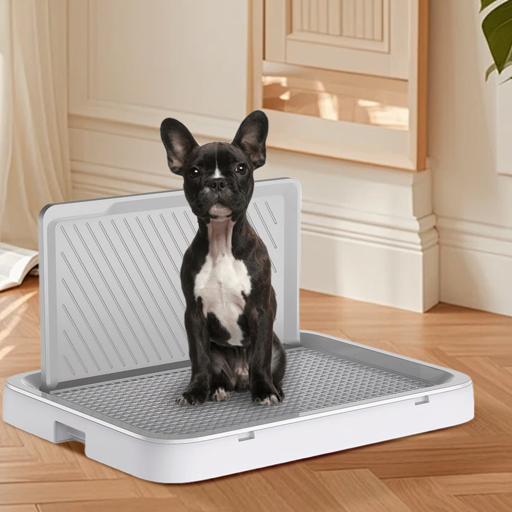 Dog Potty Tray with Pee Wall T - Sprinkler Splash Pad review and price