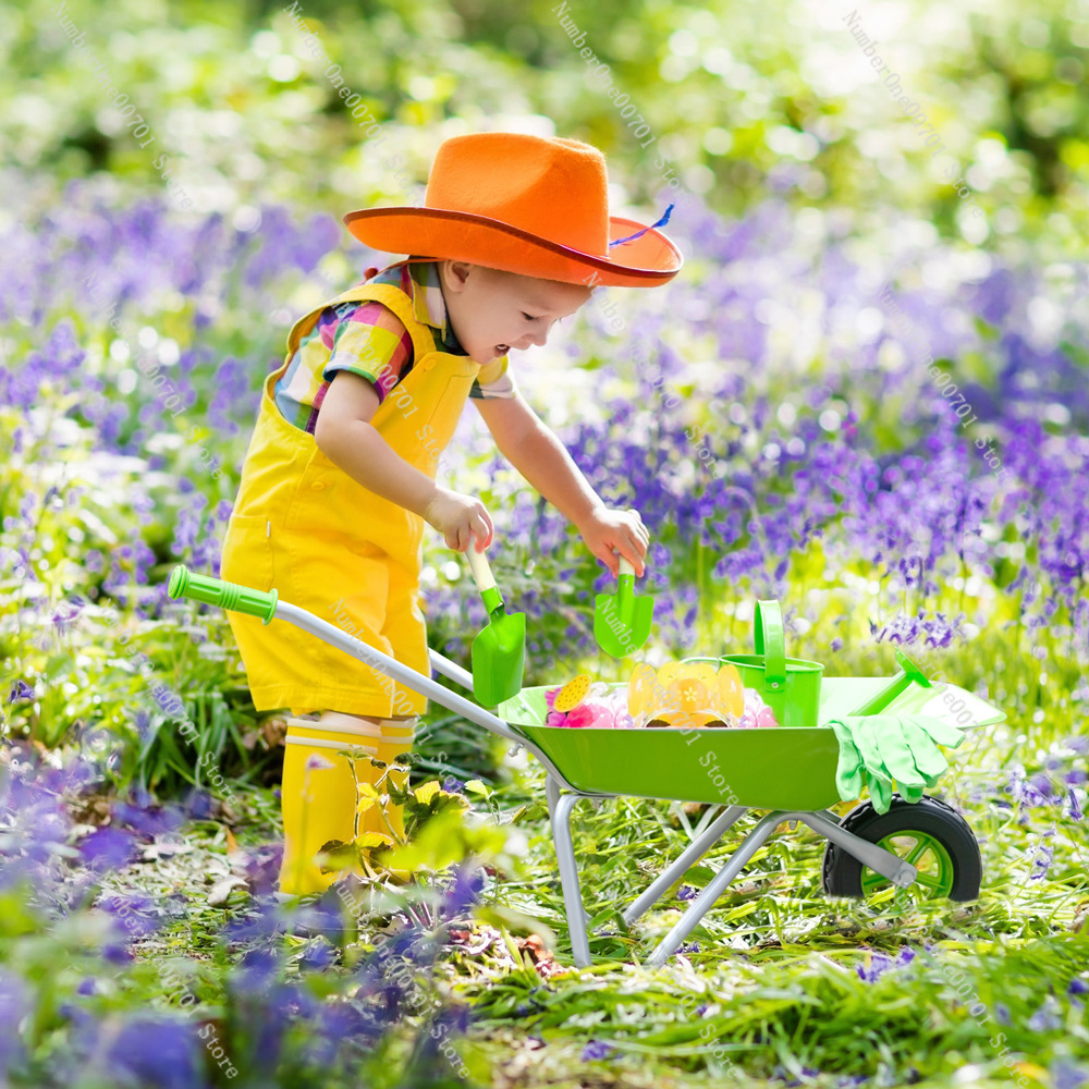 Kids Outdoor Wheelbarrow, Gree - Kids Outdoor Garden Toys review and price