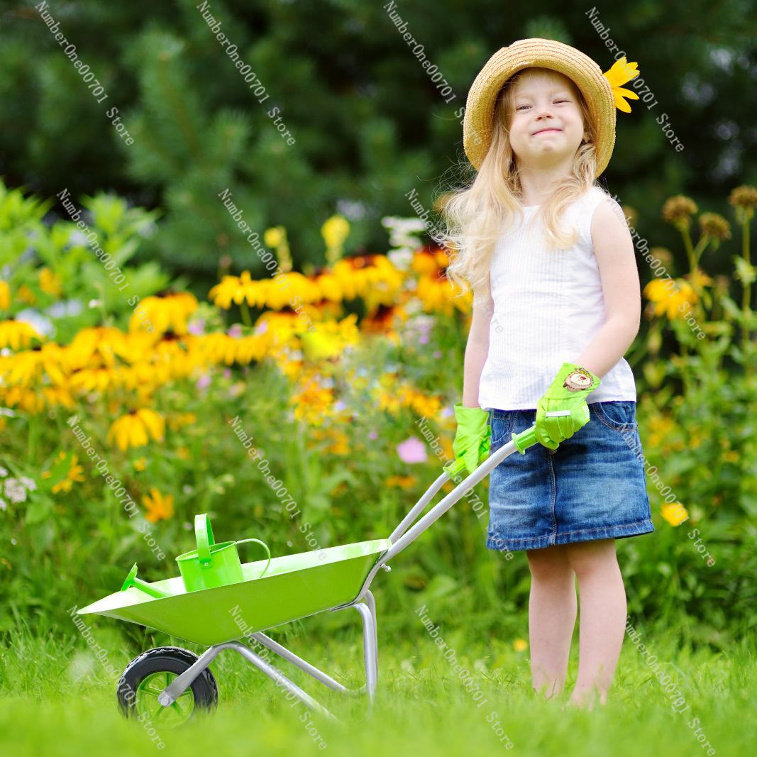 Kids Outdoor Wheelbarrow, Gree - Kids Outdoor Garden Toys review and price
