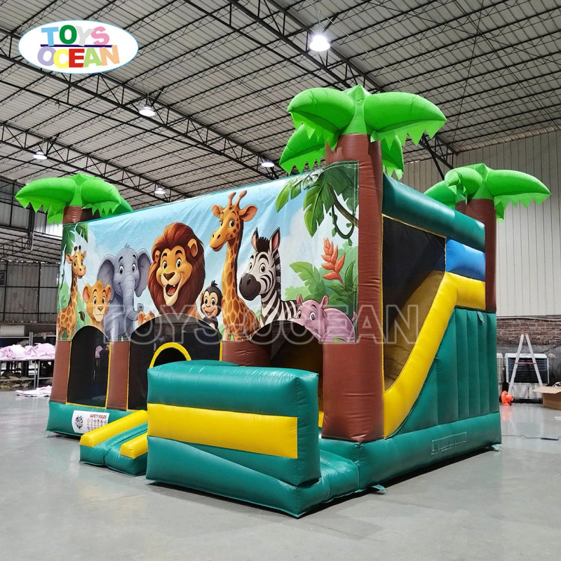 Outdoor Party Rental Inflatabl - Kids Outdoor Slide review and price